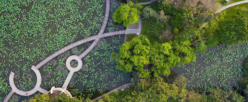 Dia do Urbanismo: parque visto em imagem aérea