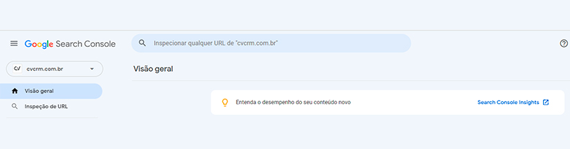 imagem do search console com um menu do lado esquerdo com um item selecionado com o título "visão geral"